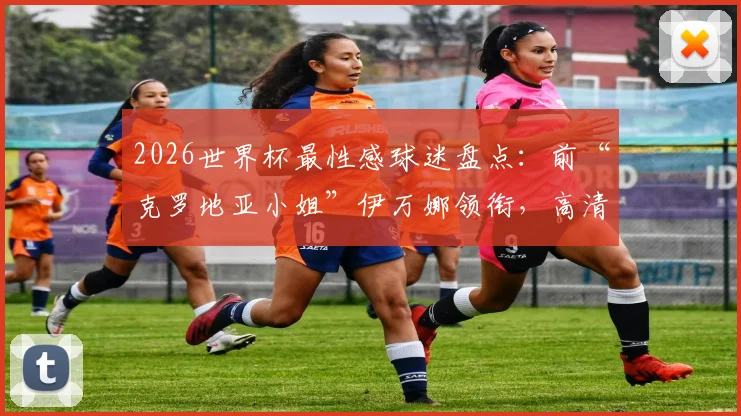 2026世界杯最性感球迷盘点：前“克罗地亚小姐”伊万娜领衔，高清美图及近况一览